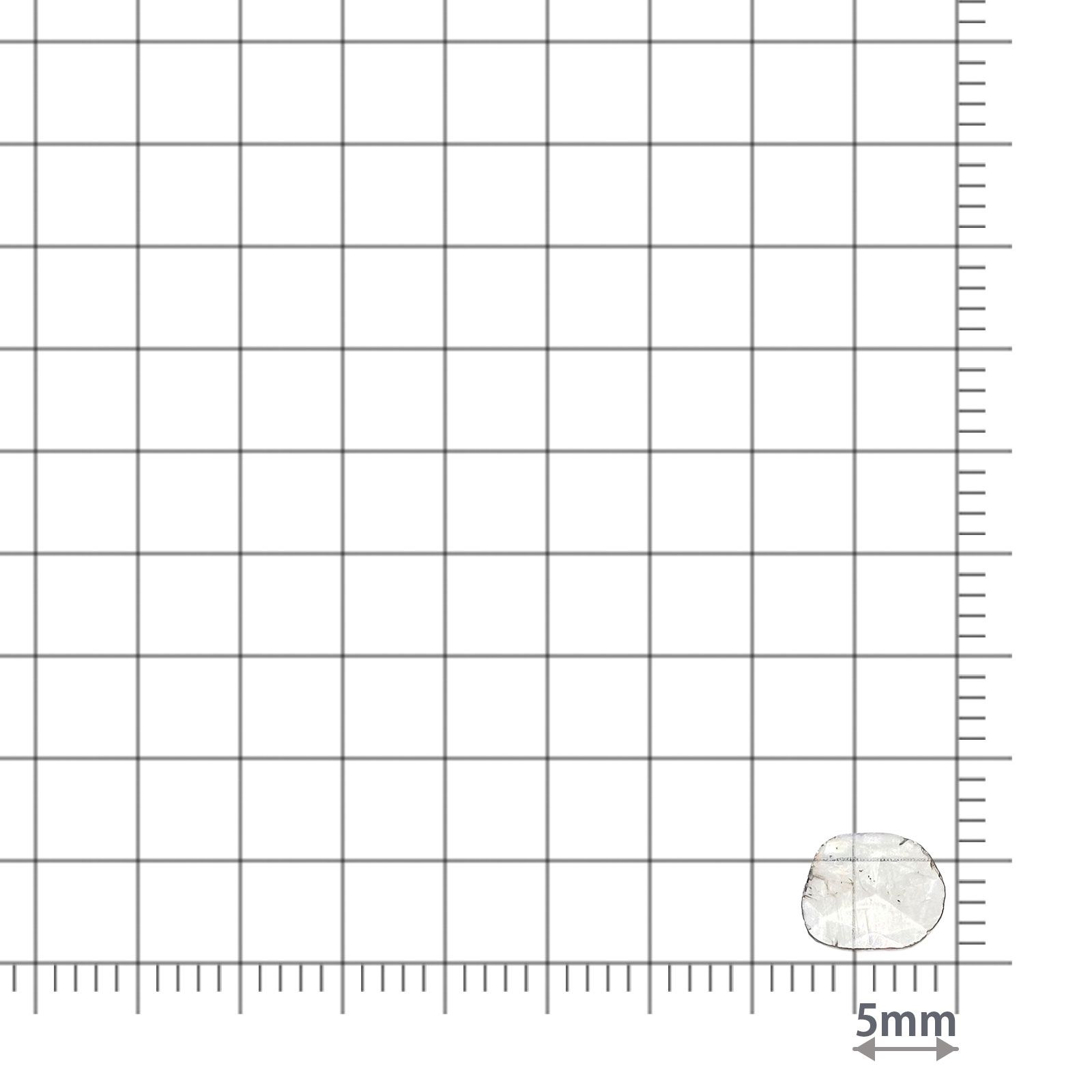 スライスダイヤモンド 0.24ct / 7.3x6.1mm前後 [260323604]