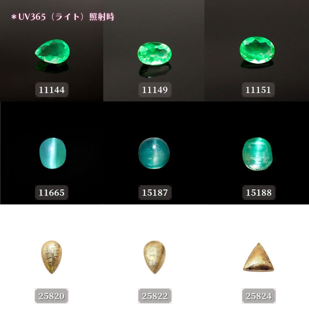 ’24 9月27日（金）新着18アイテム
