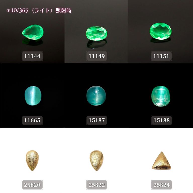 ’24 9月27日（金）新着18アイテム