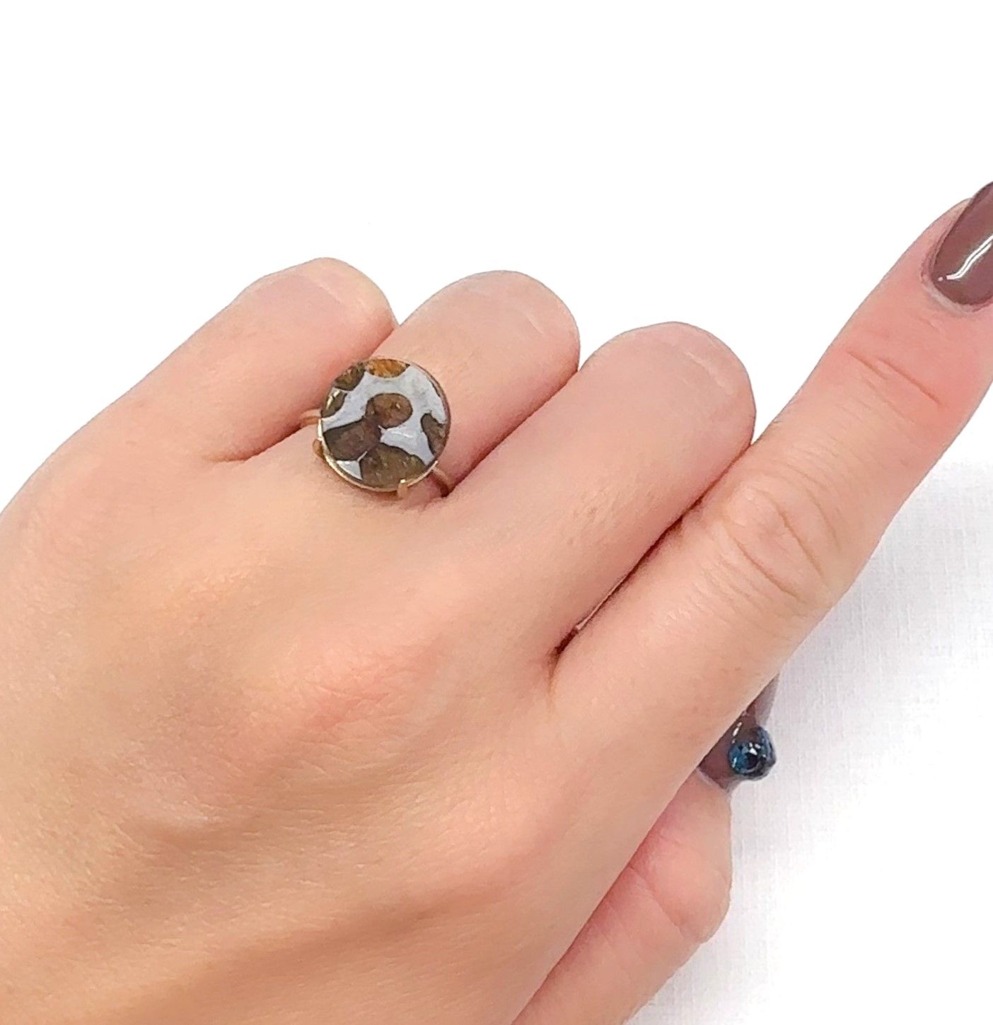 パラサイト隕石Sericho トリプレット 発見地:ケニア 3.91ct[240125727]12.1x12mm前後
