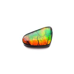 ◇フリーフォーム◇アンモライト トリプレット カナダ産 12.62ct [220817408]20.9x12.8mm前後