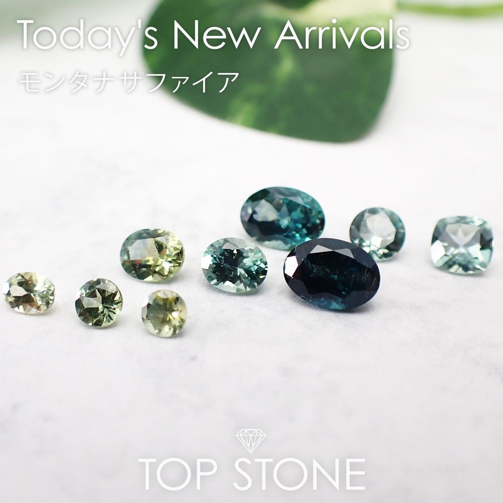 ’24 12月26日（木） 新着 | モンタナサファイア