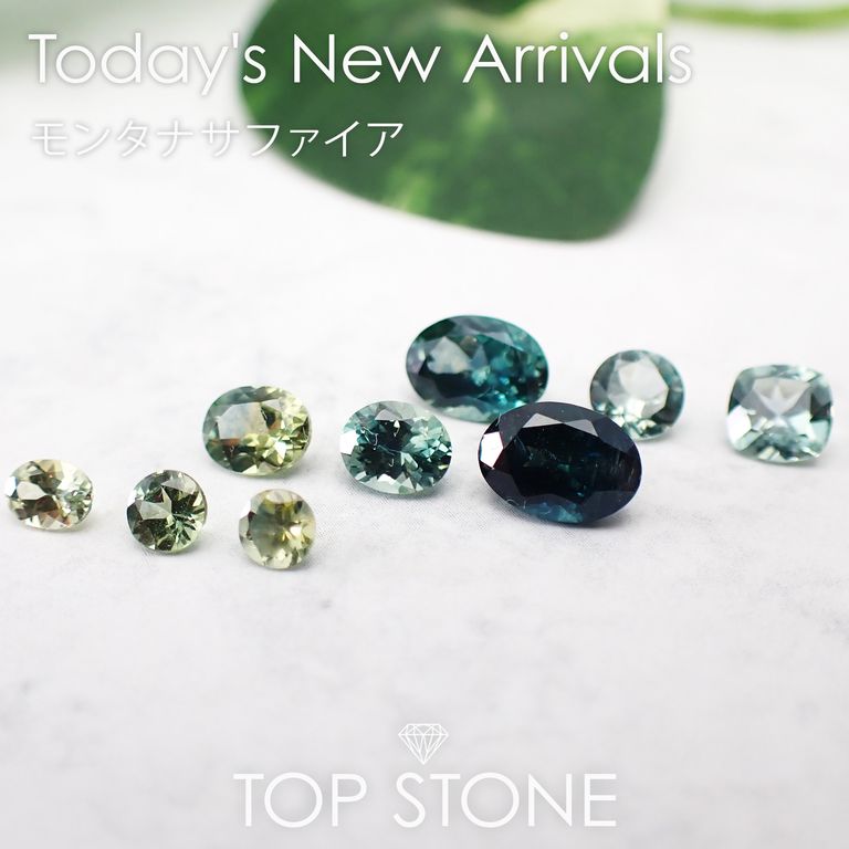 ’24 12月26日（木） 新着 | モンタナサファイア