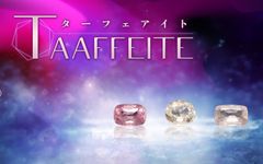 ターフェアイト
