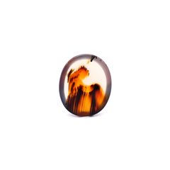 モンタナアゲート アメリカ・モンタナ州産 17.84ct / 22.8x18.8mm前後 [260832760]