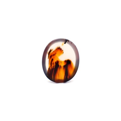 モンタナアゲート アメリカ・モンタナ州産 17.84ct / 22.8x18.8mm前後 [260832760]