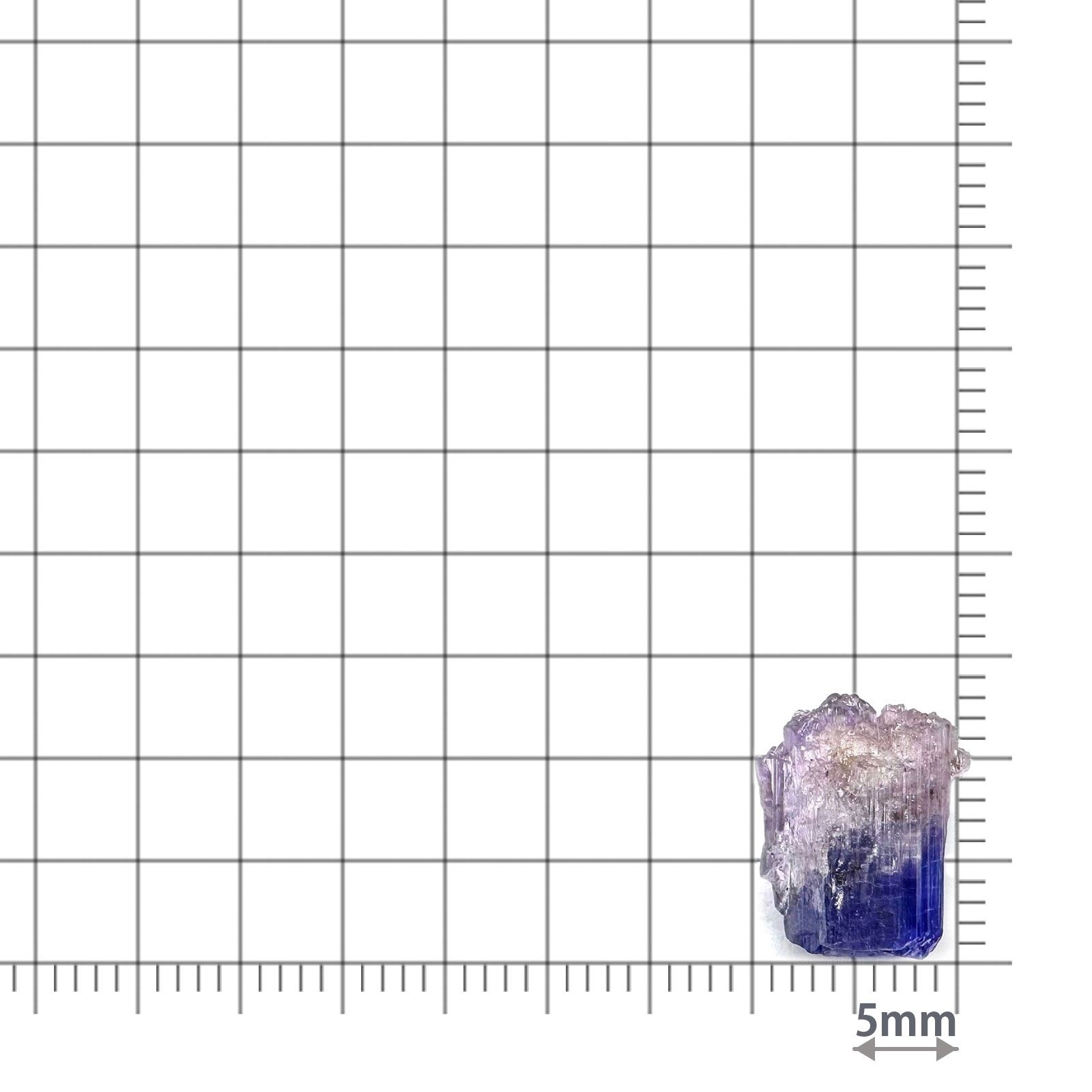 バイカラータンザナイト 原石 タンザニア産 5.87ct / 12.2x9.7mm前後 [260424990]