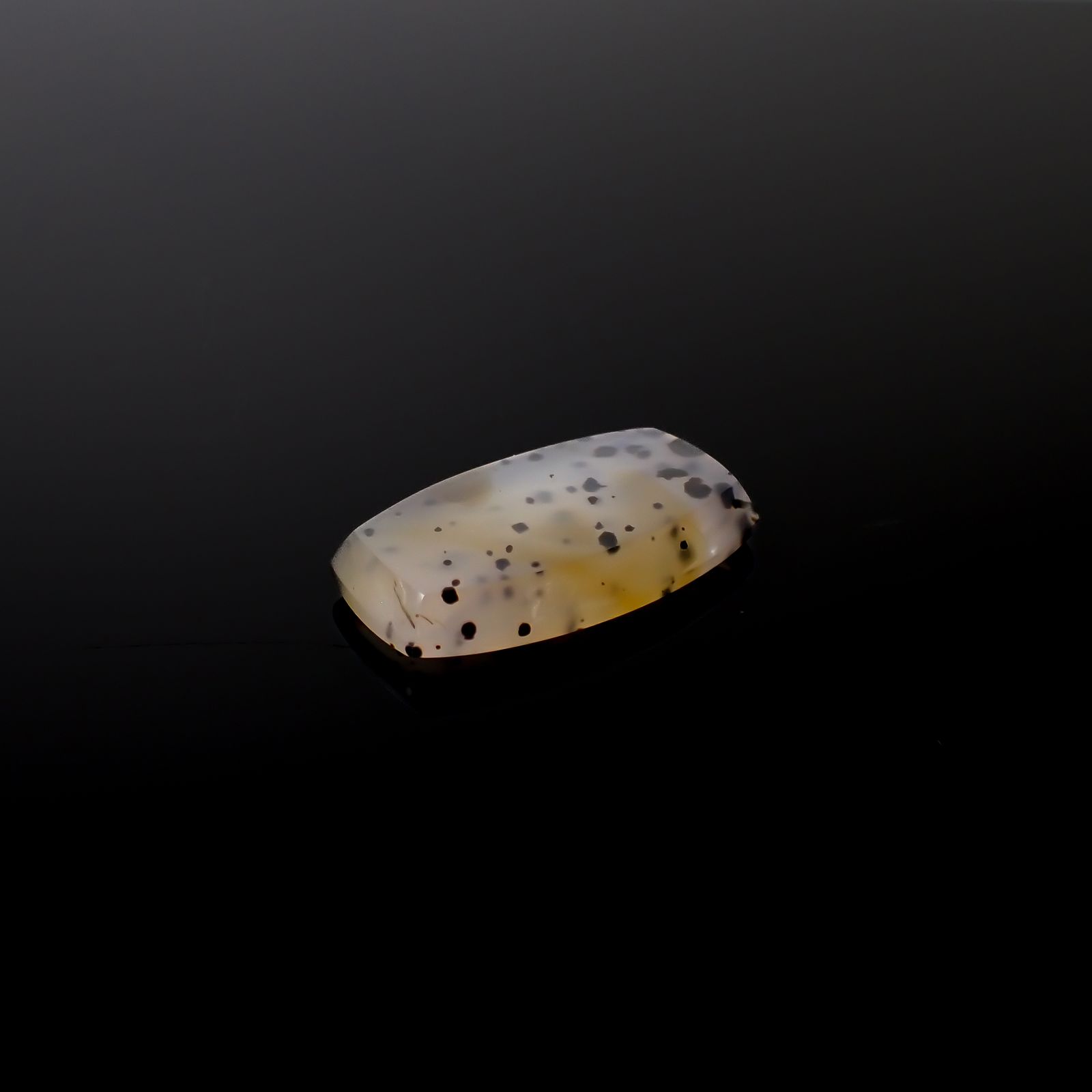 モンタナアゲート アメリカ・モンタナ州産 23.52ct[240427124