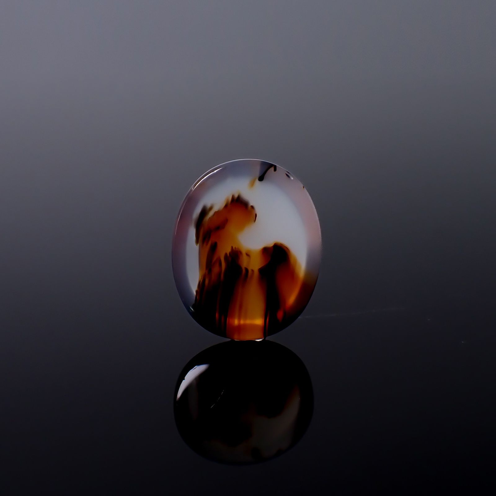 モンタナアゲート アメリカ・モンタナ州産 17.84ct / 22.8x18.8mm前後 [260832760]