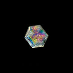 トラピッチェクォーツ 偏光板2枚付き コロンビア・ボヤカ産 30.67ct[230321102]27.3x25.4mm前後