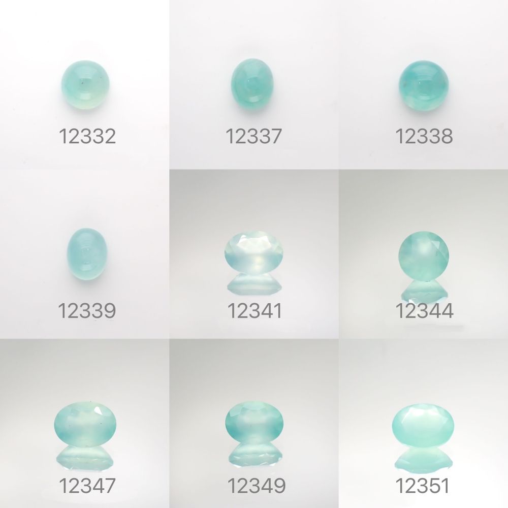 22/1/17 新発売！18アイテム