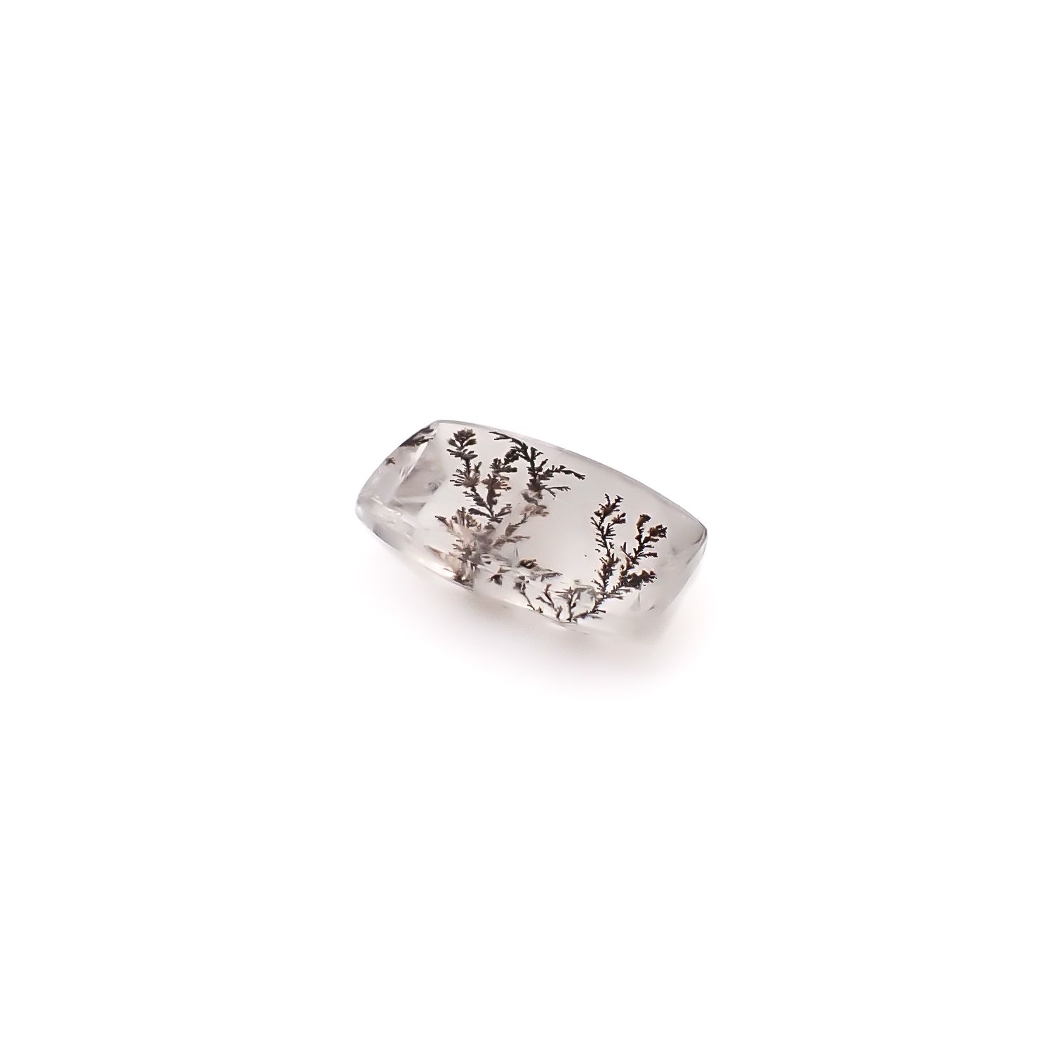 デンドリチッククォーツ ブラジル産 3.24ct / 12.3x7.5mm前後 [260832748]