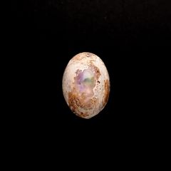カンテラオパール  メキシコ産 5.50ct / 16x11.4mm前後 [251017198]