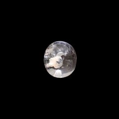 フローライトインクォーツ マダガスカル産 11.56ct[220415660]13.6x12.2mm前後