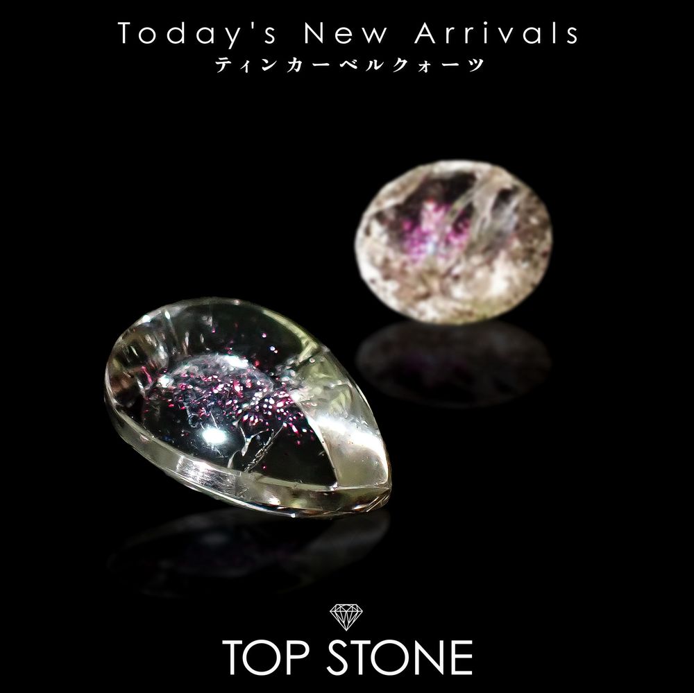 ’26 1月15日（木）新着 | ティンカーベルクォーツ