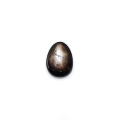 ◇フリーフォーム◇ゴールドシーンスターサファイア ケニア産 23.35ct[240527498]20.9x15.5mm前後