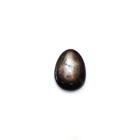 ◇フリーフォーム◇ゴールドシーンスターサファイア ケニア産 23.35ct[240527498]20.9x15.5mm前後