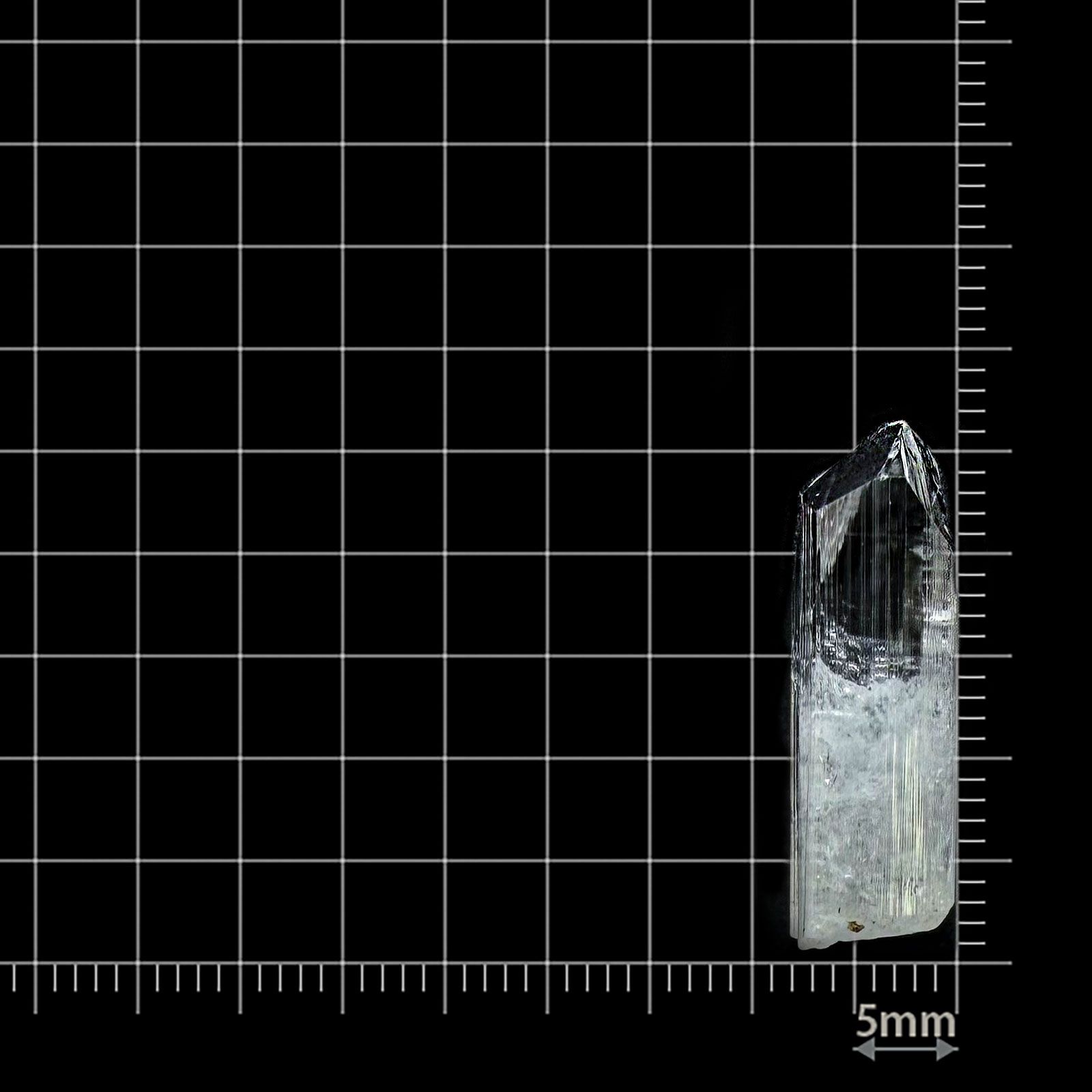 ダンビュライト原石 メキシコ産 15.06ct / 25.1x7.8mm前後 [260532167]