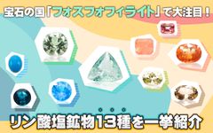リン酸塩鉱物