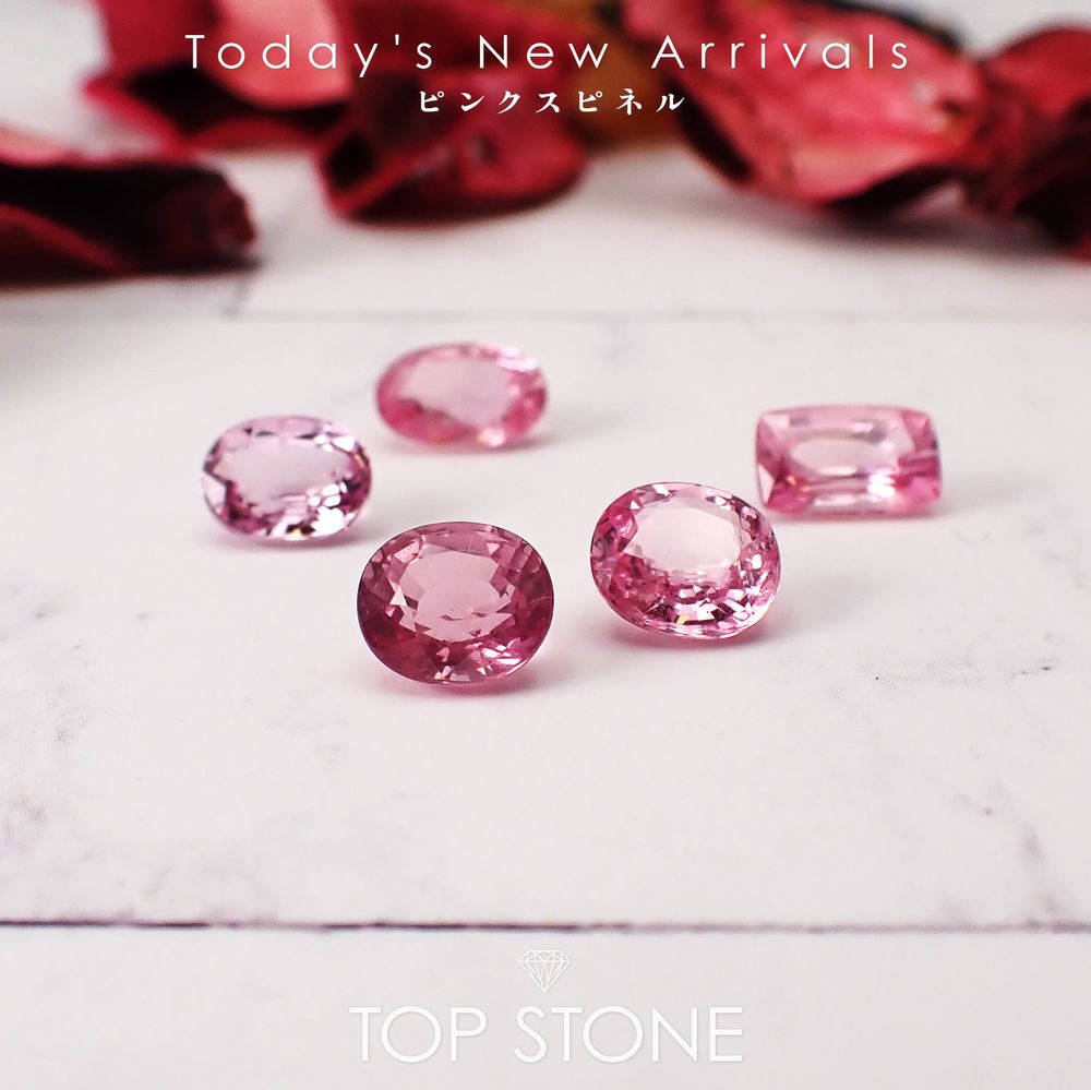 ’26 3月10日（火）新着 | ピンクスピネル