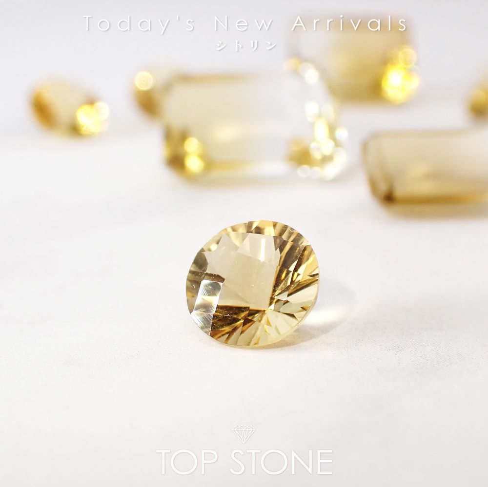 ’25 11月5日（水）新着 | シトリン