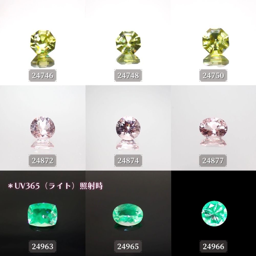 ’24 1月15日（月）新着18アイテム