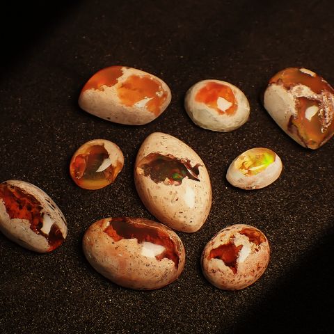 ’26 10月28日（水）新着 | カンテラオパール