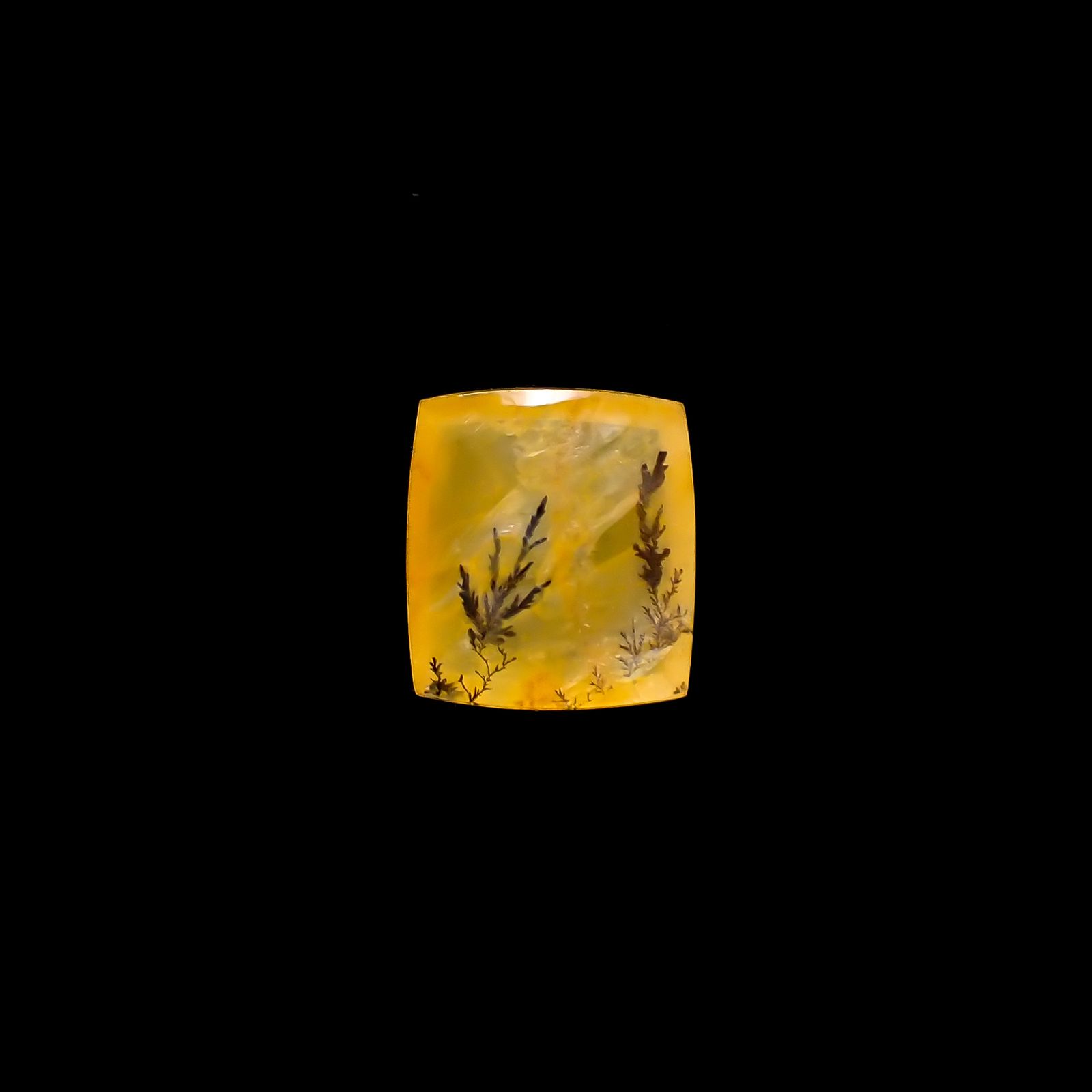 デンドリチッククォーツ ブラジル産 4.68ct[231224905]11.8x10.5mm前後
