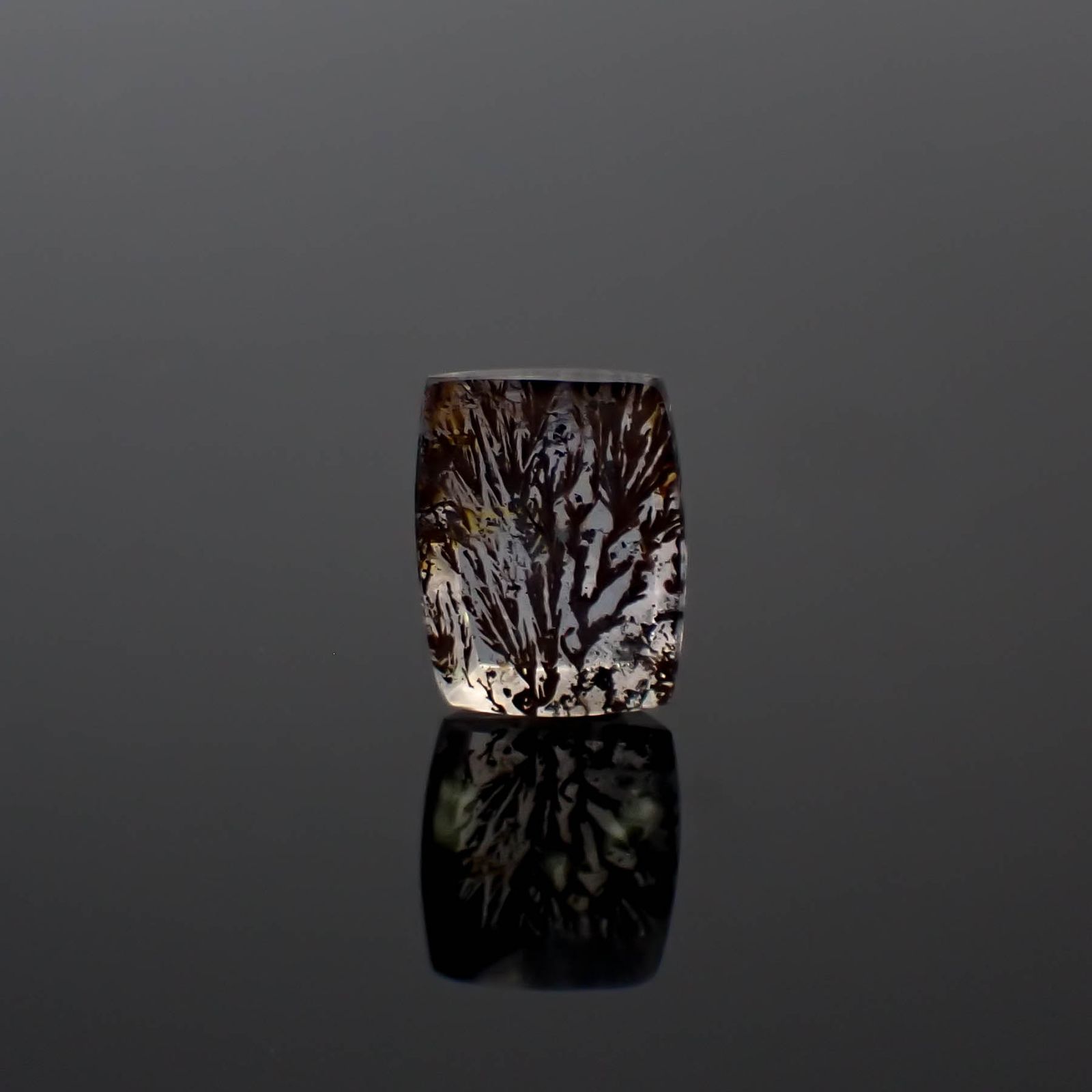 デンドリチッククォーツ ブラジル産 6.03ct [250330081]13.6x10.4mm前後