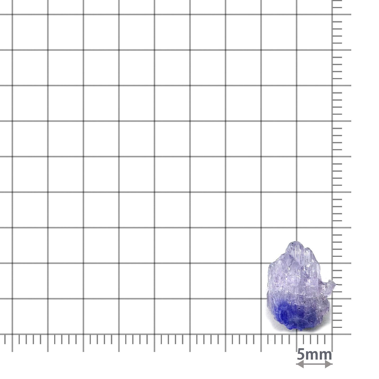 バイカラータンザナイト 原石 タンザニア産 4.01ct / 11.4x8.5mm前後 [260424986]