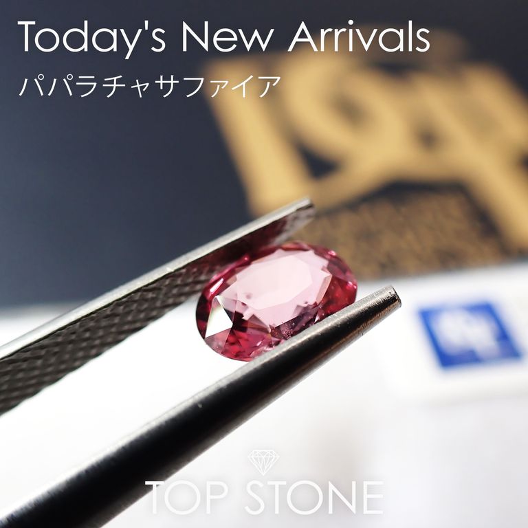 ’24 11月5日（火） 新着 | パパラチャサファイア