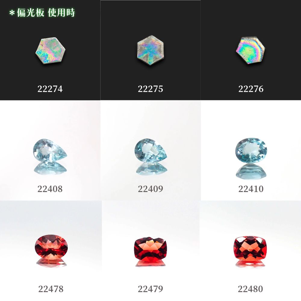 ’23 7月26日(水)新着9アイテム
