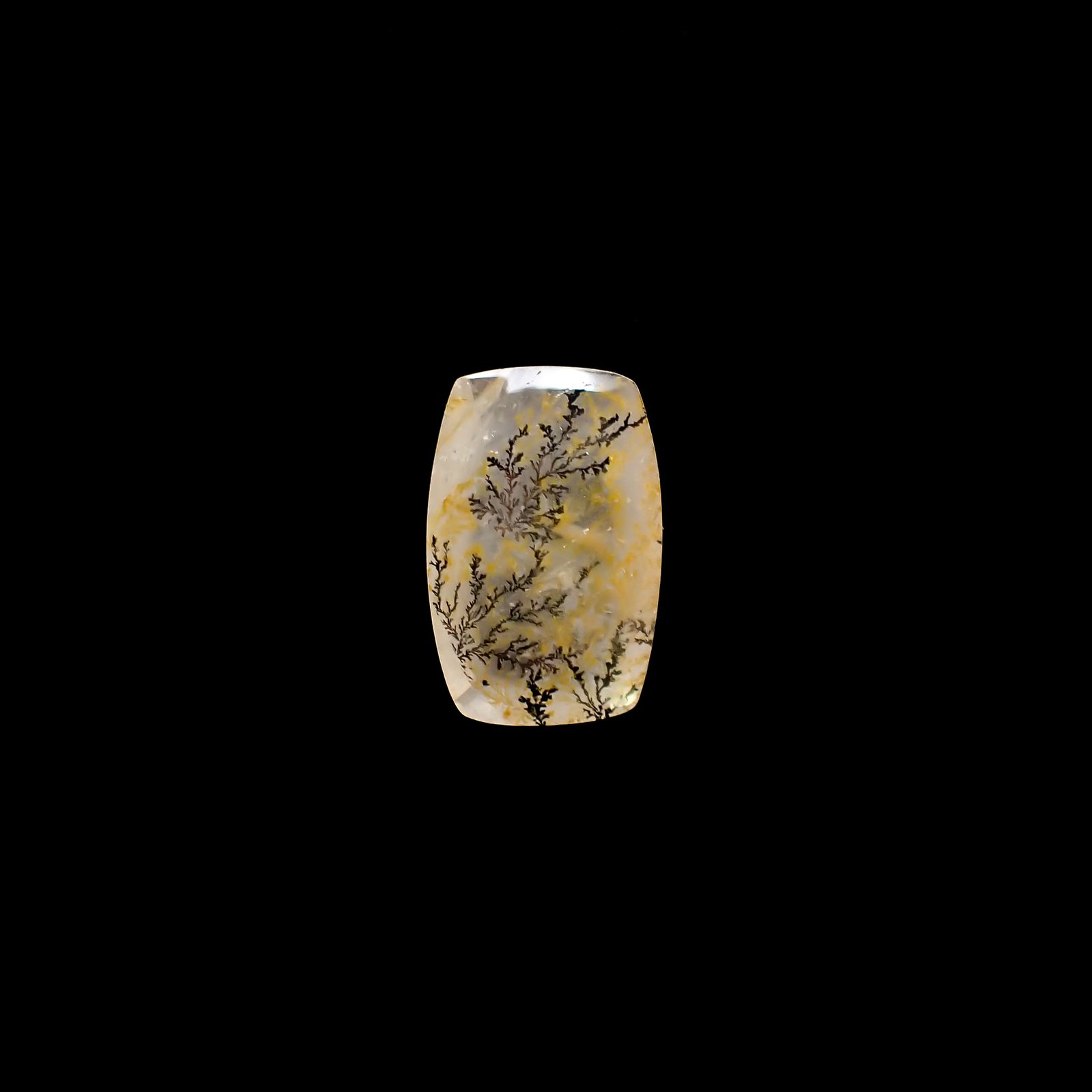 デンドリチッククォーツ ブラジル産 4.51ct[230823249]15.1x9.8mm前後
