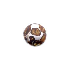 パラサイト隕石Sericho トリプレット 発見地：ケニア 4.09ct[220114155]12.1x12.1mm前後