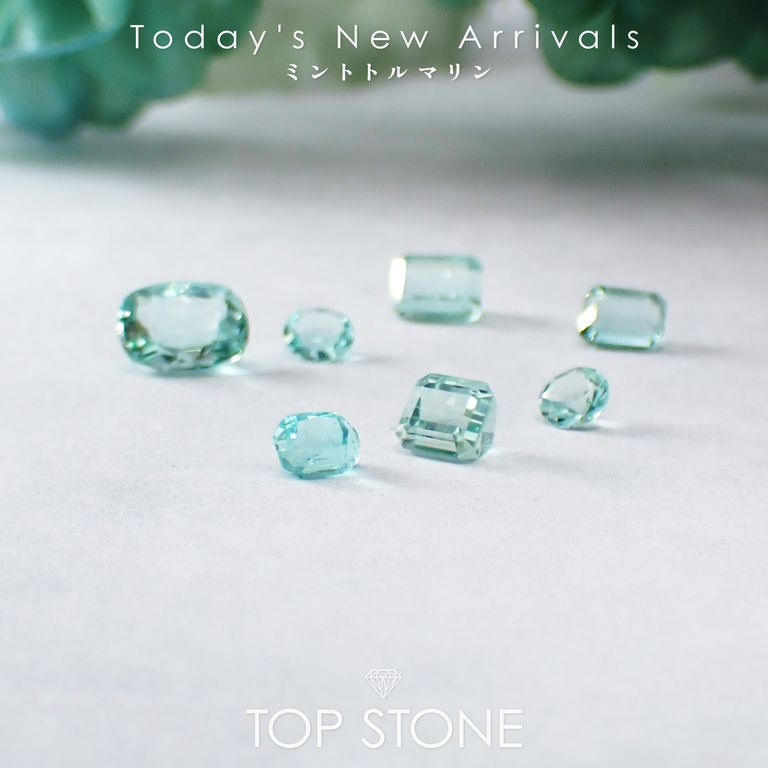 ’25 11月18日（火）新着 | ミントトルマリン