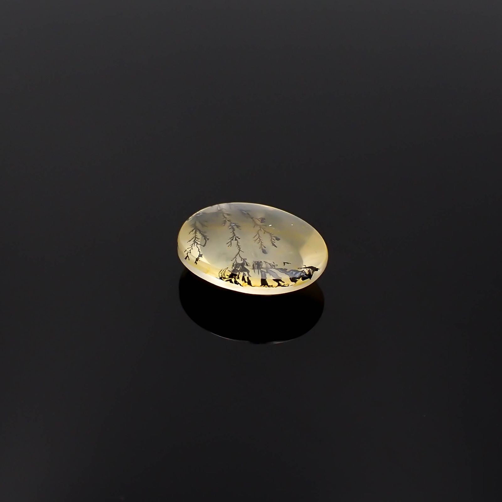 デンドリチッククォーツ ブラジル産 3.72ct[230622443]12.3x10mm前後