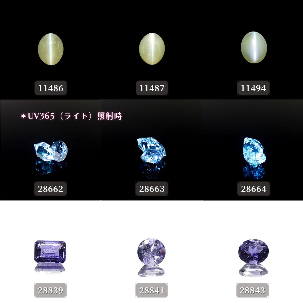 ’24 9月24日（火）新着18アイテム