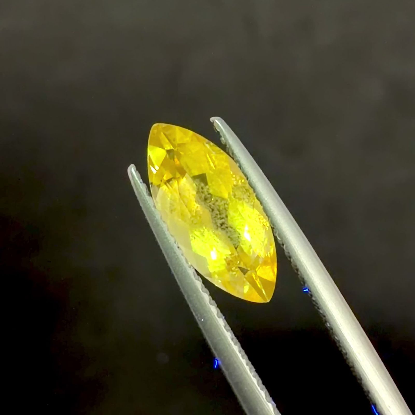 黄金に輝く希少石「コンドロダイト」とは？宝石としての特徴から鉱物