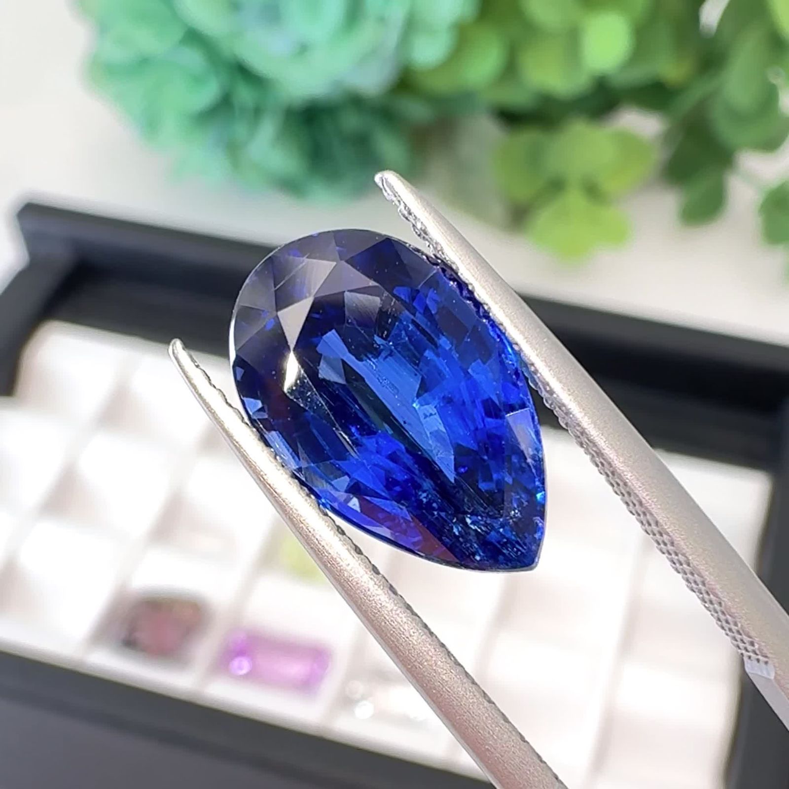 25 9月14日（日） 新着 | レアストーン・希少石特集 | TOP STONE