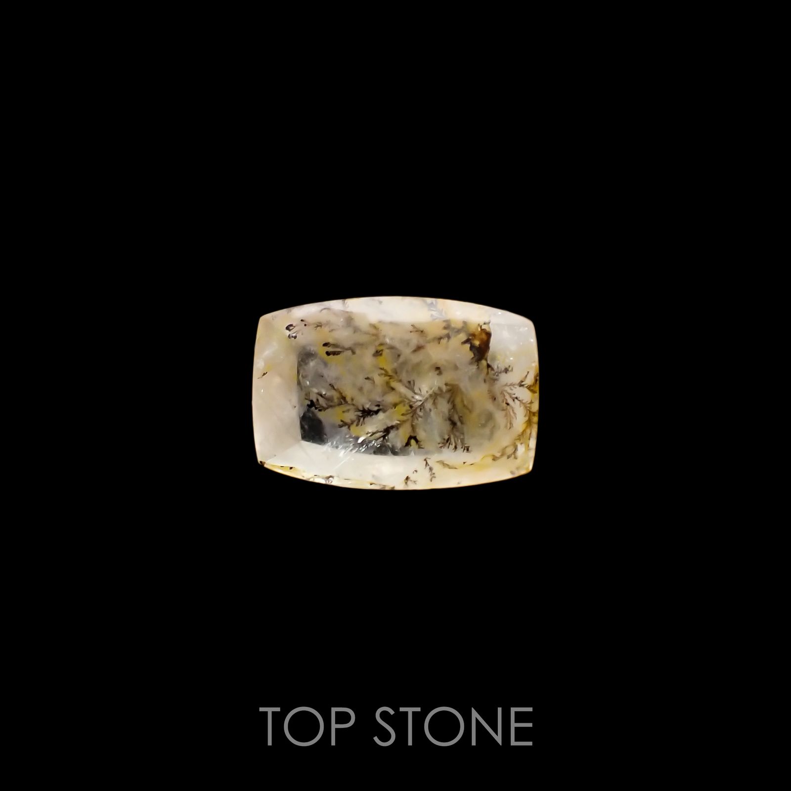 デンドリチッククォーツ ブラジル産 3.39ct[220115113]12.7x8.6mm前後
