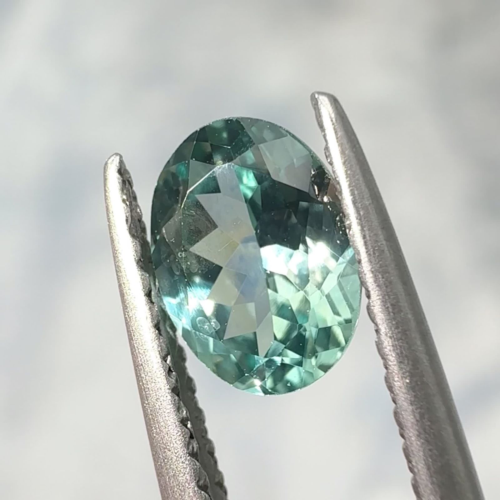 魅惑のニュアンスカラー / モンタナサファイアの神秘の世界 | TOP