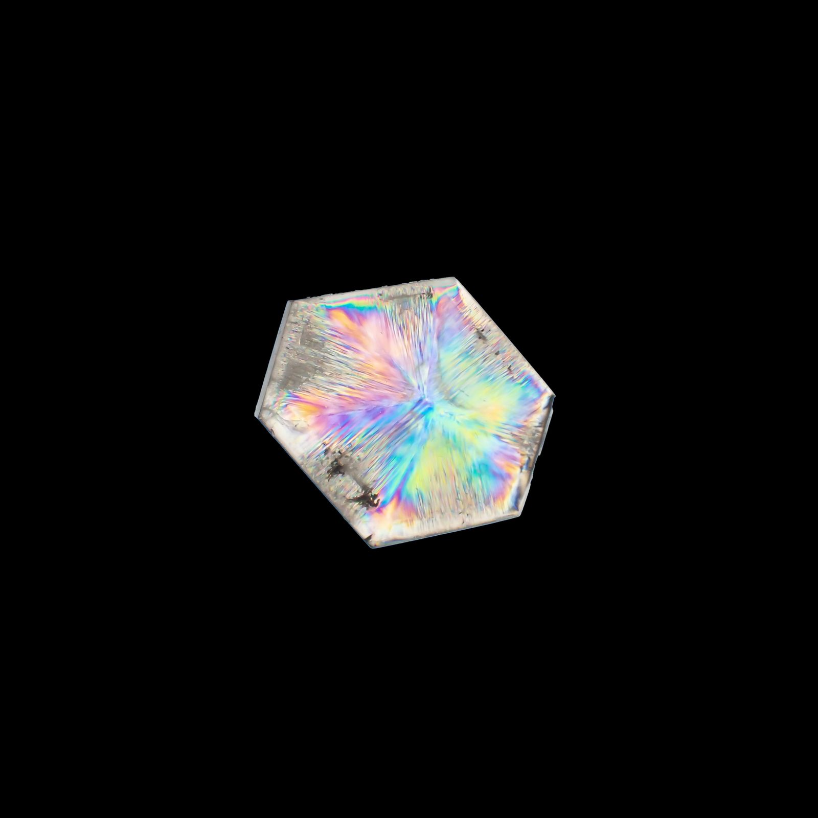 トラピッチェクォーツ 偏光板2枚付き コロンビア・ボヤカ産 39.72ct[230321109]26.9x22.6mm前後