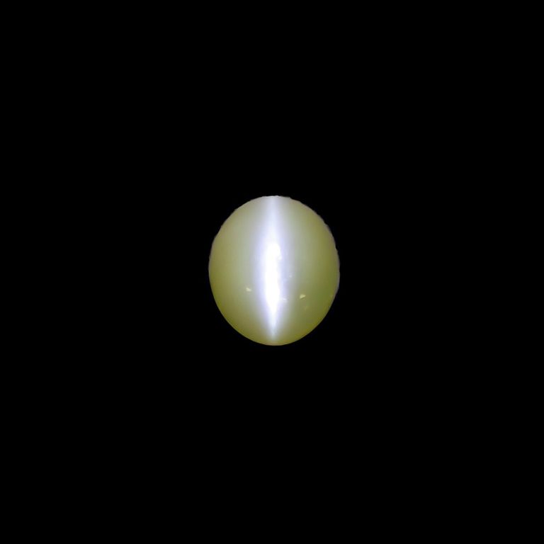 ライトをあてて撮影