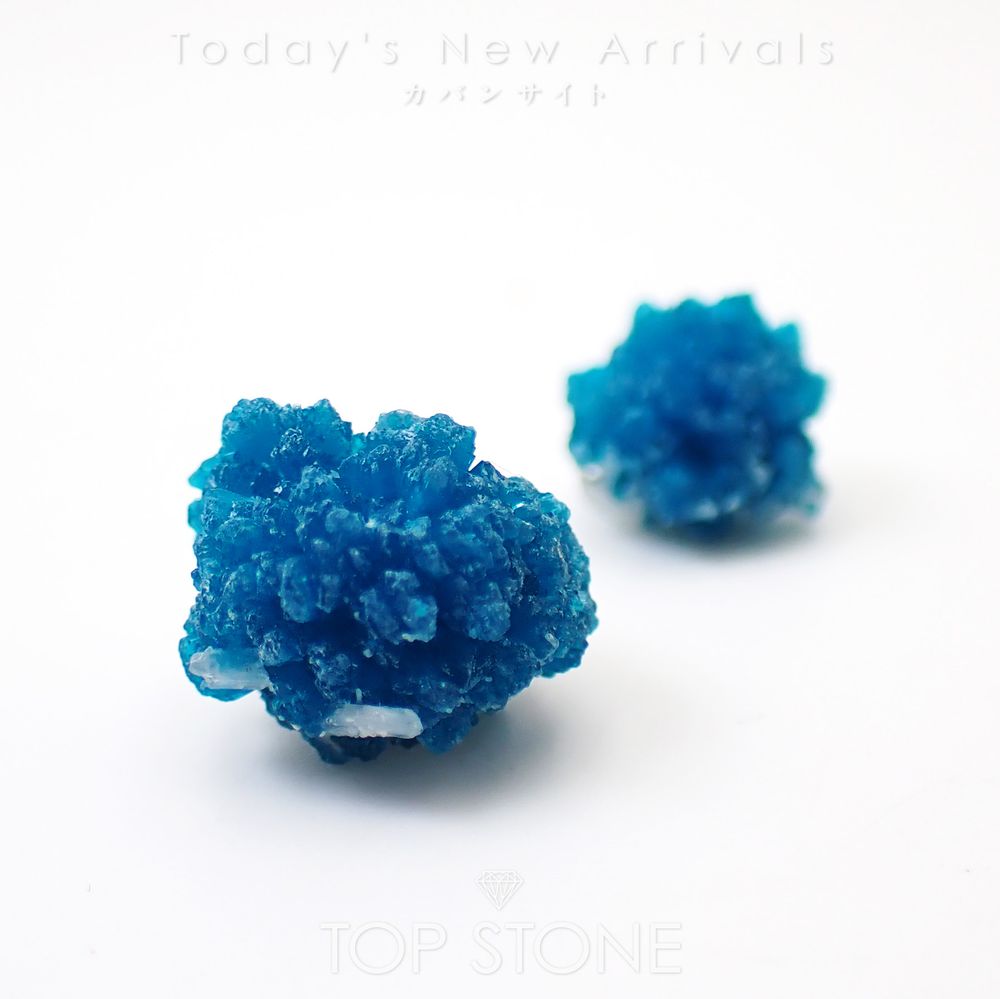 ’26 4月17日（金）新着 | カバンサイト 原石