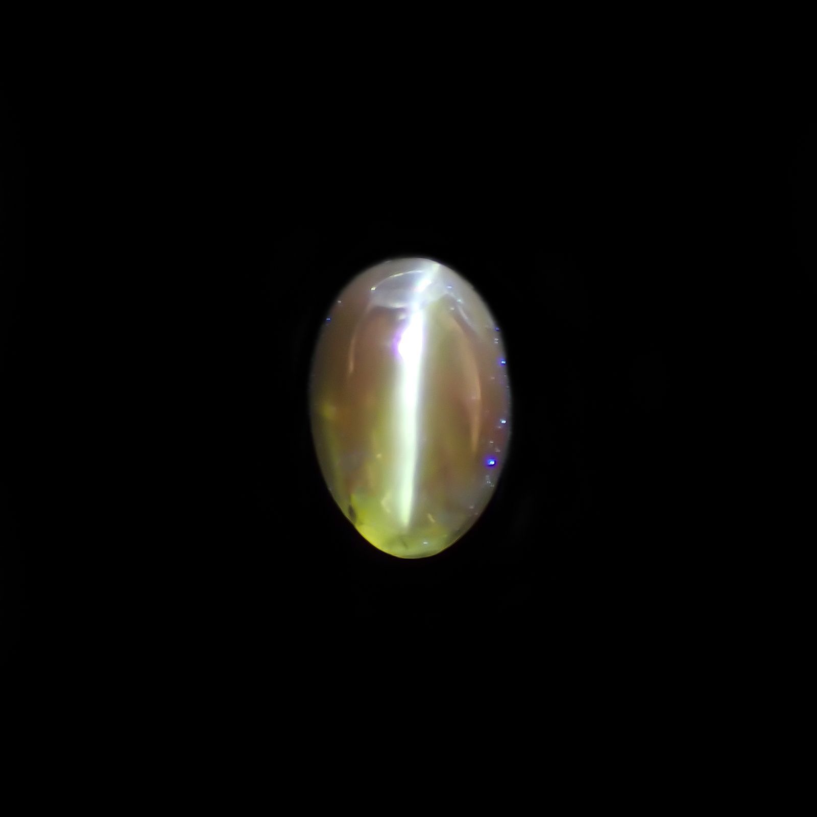 アレキサンドライトキャッツアイ インド産 0.65[220114578]5.5x3.8mm前後