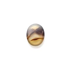 モンタナアゲート アメリカ・モンタナ州産 11.23ct[240427118]19.1x15mm前後