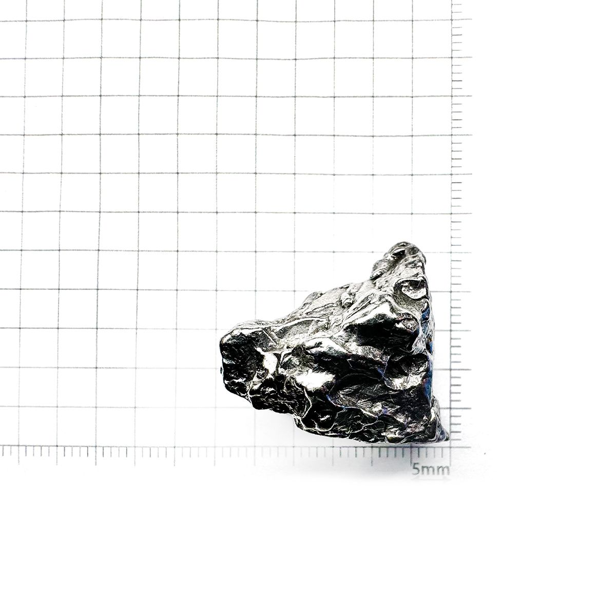 カンポ・デル・シエロ 隕石 原石 発見地：アルゼンチン 128.86ct [240125864]27.4x20.7mm前後
