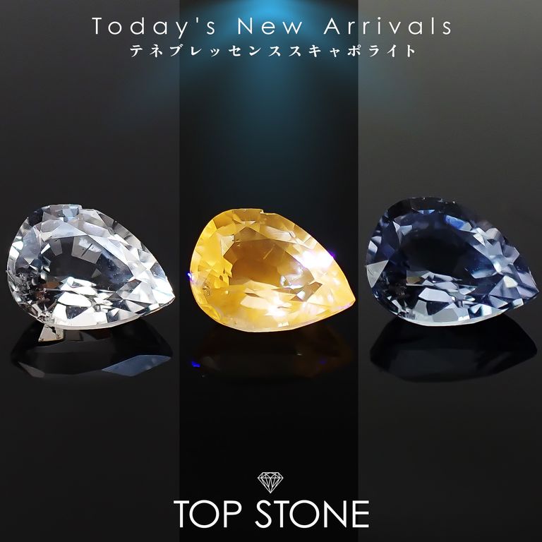 ’26 5月2日（土）新着 | テネブレッセンススキャポライト