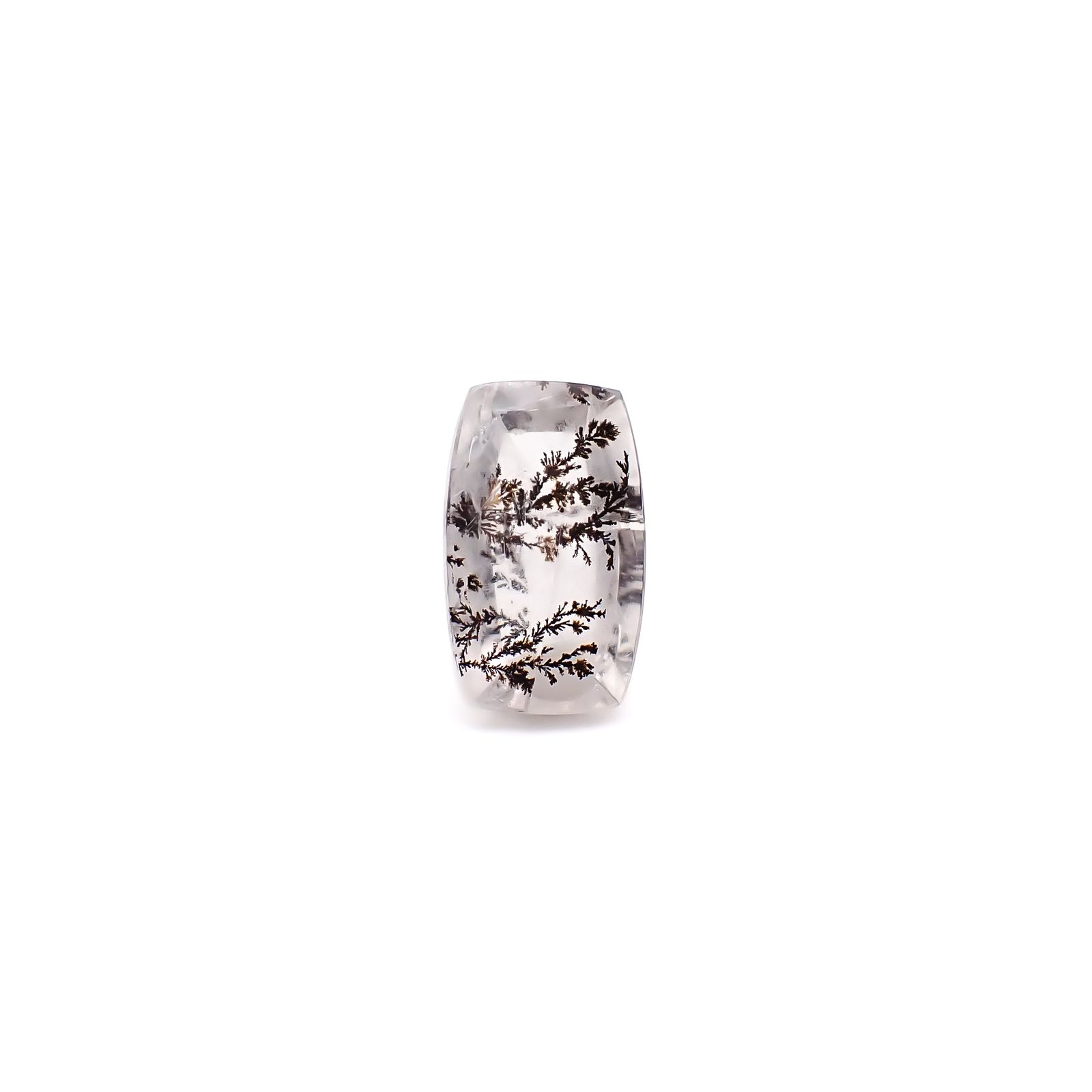 デンドリチッククォーツ ブラジル産 3.24ct / 12.3x7.5mm前後 [260832748]