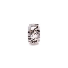 デンドリチッククォーツ ブラジル産 3.24ct / 12.3x7.5mm前後 [260832748]